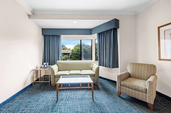 Standard Room, 1 King Bed, Accessible, Bathtub (with Sofabed)
