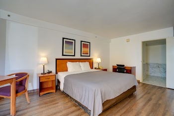 Standard Room, 1 King Bed, Accessible, Non Smoking