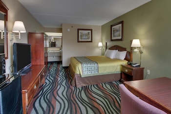 Superior King Bed Non-Smoking ( Ground Level)