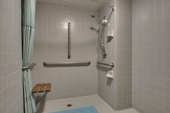 Superior King Bed with Roll-In Shower ( Ground Level)