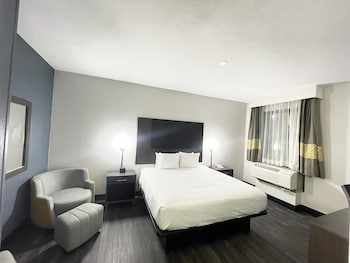 Suite, 1 King Bed, Non Smoking (One-Bedroom)
