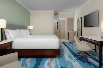 Room, 1 King Bed