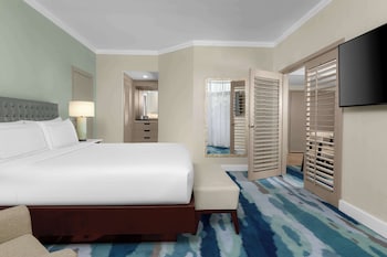 Suite, 1 King Bed