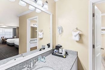 Standard Room, 1 King Bed, Non Smoking, Refrigerator & Microwave (Pet Friendly)