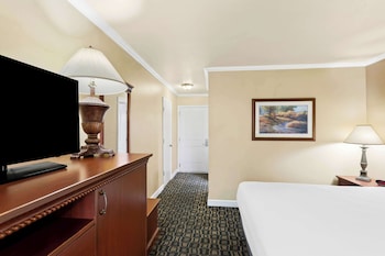 Standard Room, 1 King Bed, Non Smoking, Refrigerator & Microwave