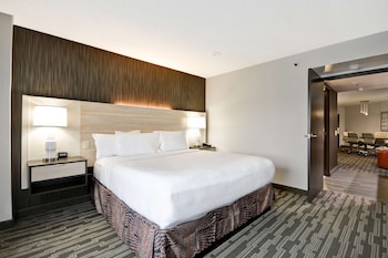 Suite, 1 King Bed, Non Smoking (Conference)