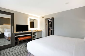 Room, 1 King Bed, Non Smoking