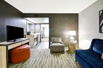 Premium Suite, 1 King Bed, Accessible, Non Smoking