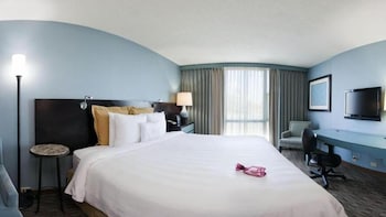 Suite, 1 Bedroom