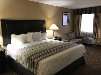 Room, 1 King Bed, Non Smoking