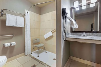 Standard Room, 1 King Bed, Accessible, Refrigerator & Microwave