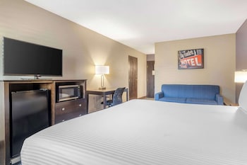 Standard Room, 1 King Bed, Non Smoking, Refrigerator & Microwave (Larger Room;with Sofabed)
