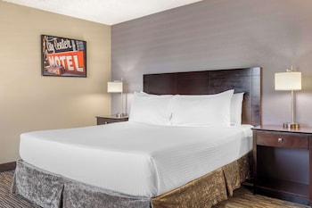 Executive Room, 1 King Bed, Non Smoking, Refrigerator & Microwave (with Sofabed)