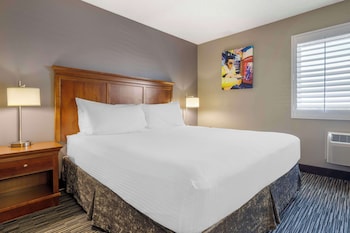 Standard Room, 1 King Bed, Non Smoking, Refrigerator & Microwave