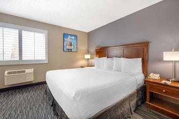 Standard Room, 1 King Bed, Accessible, Refrigerator & Microwave