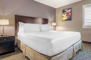 Standard Room, 1 King Bed, Non Smoking, Refrigerator & Microwave (Larger Room;with Sofabed)