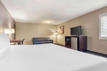 Executive Room, 1 King Bed, Non Smoking, Refrigerator & Microwave (with Sofabed)