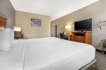 Standard Room, 1 King Bed, Accessible, Refrigerator & Microwave