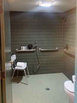 Roomy King, 1 King, Accessible