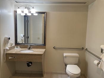 Room, 1 King Bed, Accessible, Non Smoking (Roll-In Shower)