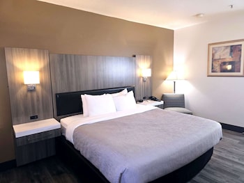 Room, 1 King Bed, Accessible, Non Smoking (Roll-In Shower)
