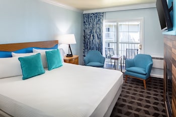 Standard Room, 1 King Bed, Accessible, Garden View