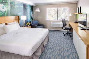Deluxe Room, 1 King Bed, Accessible Bathtub