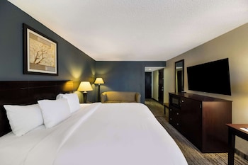 Room, 1 King Bed, Non Smoking (Handicapped)