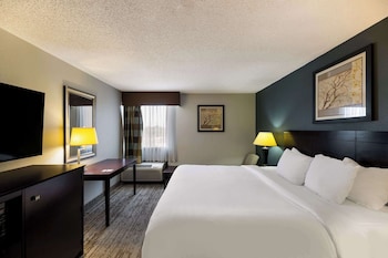 Room, 1 King Bed, Non Smoking (Handicapped)