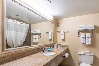 Suite, 1 King Bed with Sofa bed, Non Smoking