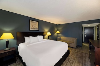 Room, 1 King Bed, Non Smoking (Handicapped)