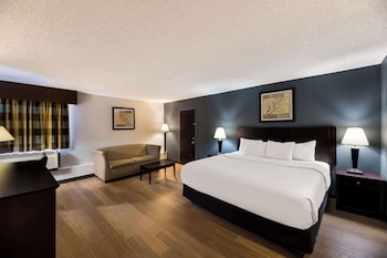 Suite, 1 King Bed with Sofa bed, Non Smoking