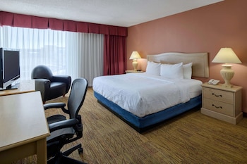 Room, 1 King Bed, Non Smoking, Poolside
