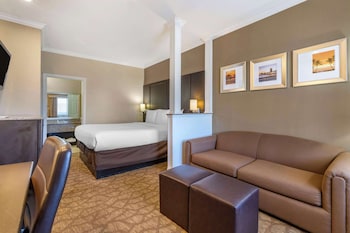 Suite, One King Bed with Sofabed, Non Smoking