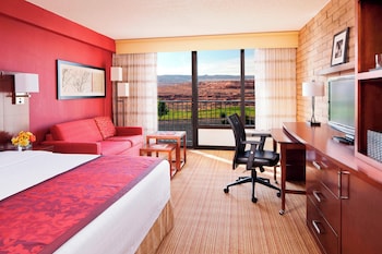 Room, 1 King Bed