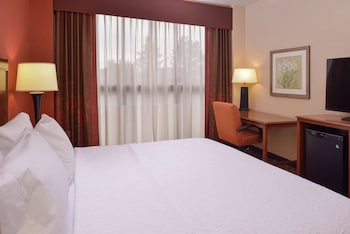 Room, 1 King Bed, Accessible, Non Smoking
