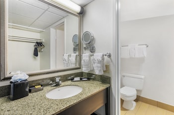 Suite, 1 King Bed, Non Smoking, Refrigerator & Microwave (with Sofabed)