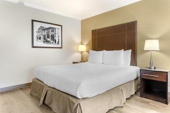 Standard Room, 1 King Bed, Patio, Poolside
