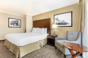 Standard Room, 1 King Bed, Accessible, Non Smoking