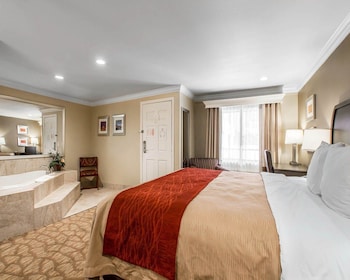 Superior Room, 1 King Bed with 2-person In Room Whirlpool, Non Smoking