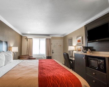 Standard Room, 1 King Bed, Accessible Tub, Non Smoking