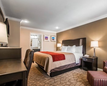 Standard Room, 1 King Bed, Non Smoking