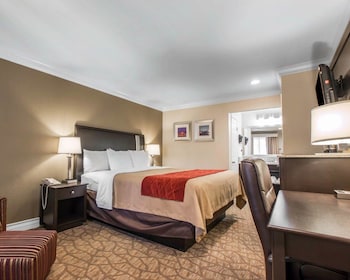 Standard Room, 1 King Bed, Accessible Tub, Non Smoking