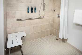 Room, 1 King Bed, Accessible, Balcony (Roll In Shower)
