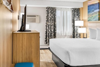 Room, 1 Queen Bed, Non Smoking