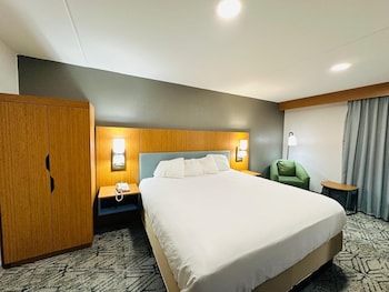 Room, 1 King Bed, Mobility Accessible, Non Smoking