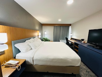 Room, 1 King Bed, Non Smoking