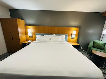 Room, 1 King Bed, Non Smoking