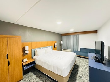Suite, 1 King Bed, Non Smoking
