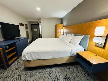 Room, 1 King Bed, Non Smoking